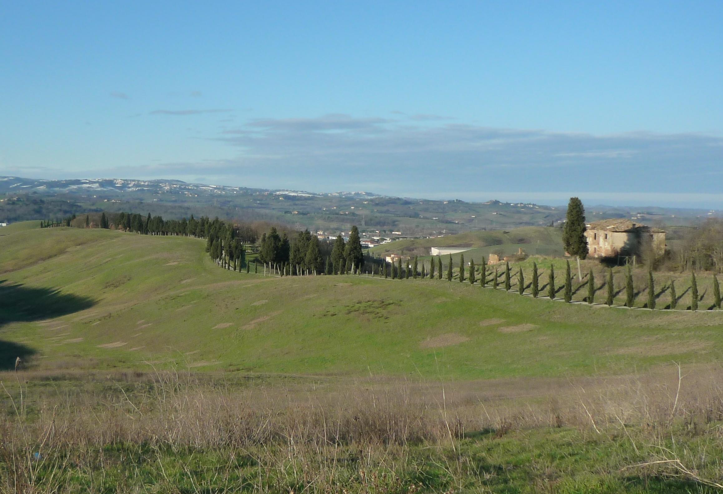 “Il Bosco”, dimora speciale nel Parco di Canonica, veduta del parco