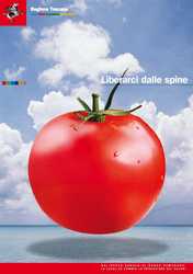 Liberarci dalle spine