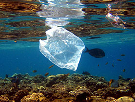 un sacchetto di plastica nel mare