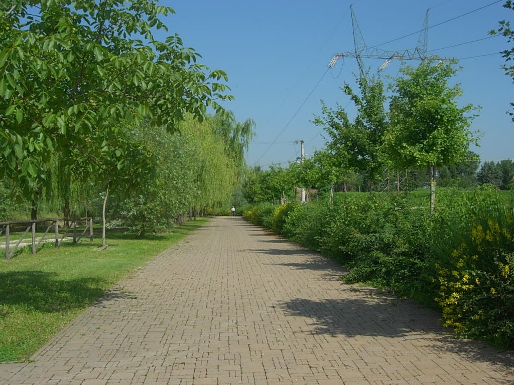Un tratto di pista ciclabile al parco fluviale