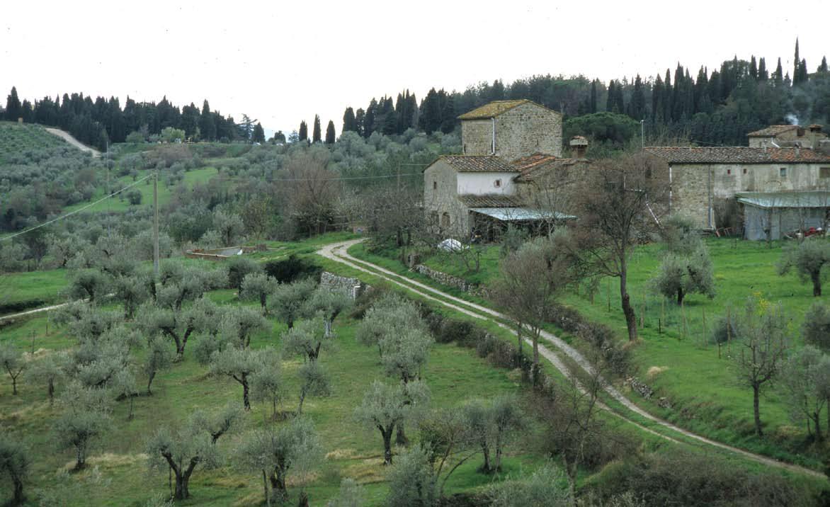 casa 