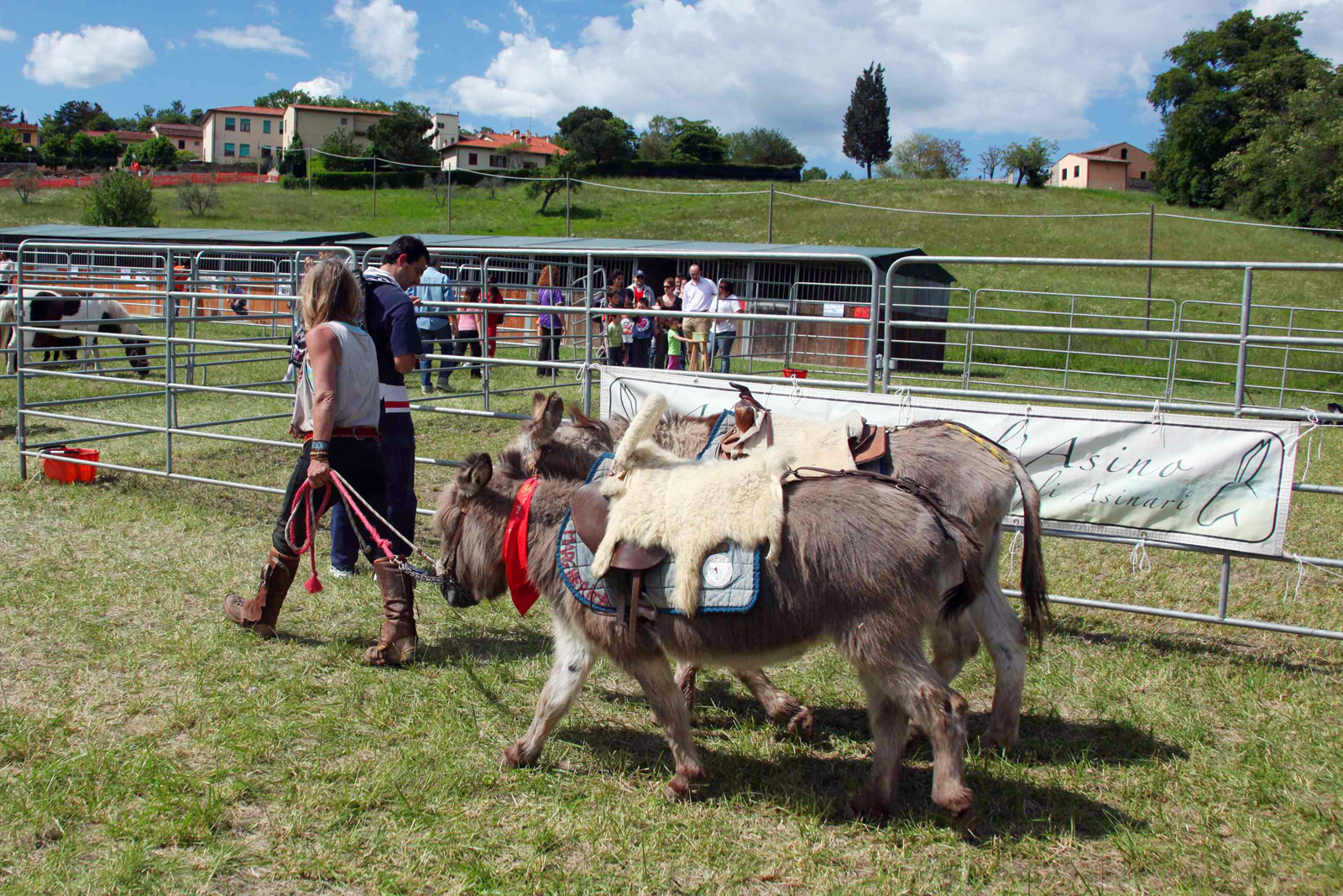 Ruralia a Pratolino