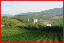 Veduta dell'area di Testi