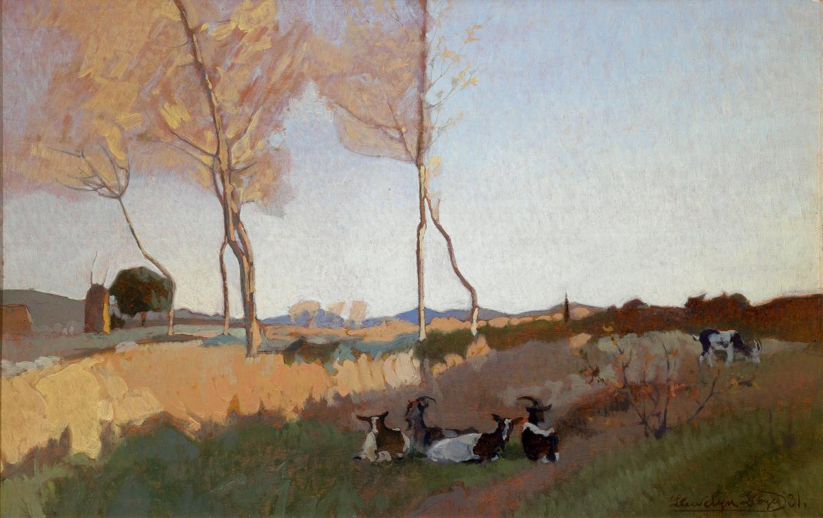 Sera in Maremma