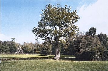 Il Parco di Pratolino