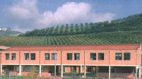Balducci Pontassieve