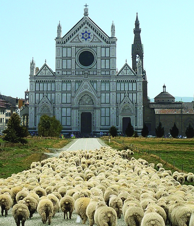 firenze immaginaria