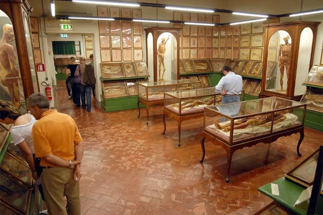 Una sala del Museo della Specola