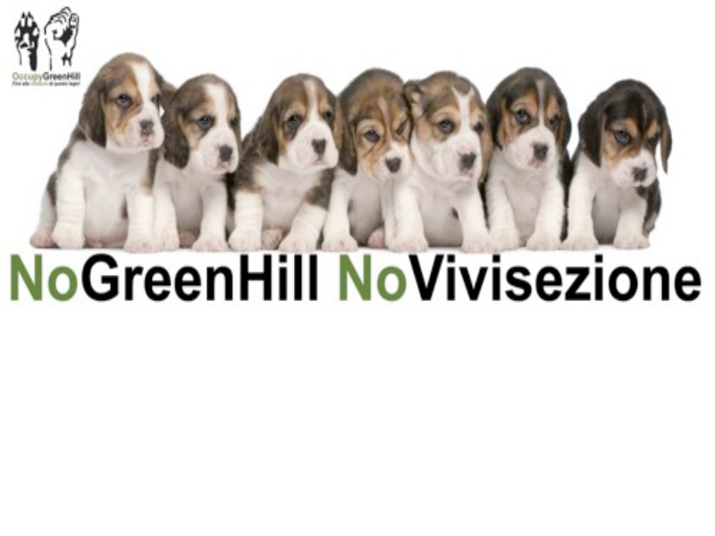 No GreenHill