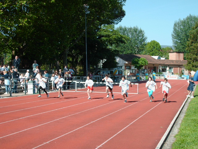 Successo della miniolimpiade