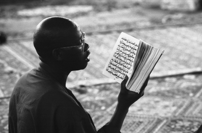 Mostra Lontano da Touba