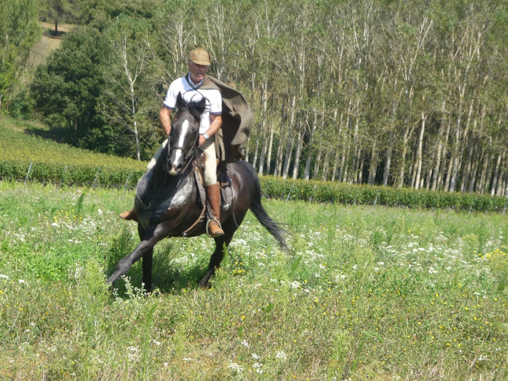 TREKKING A CAVALLO
