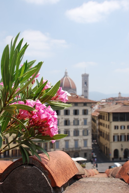 Firenze Terrazza con vista