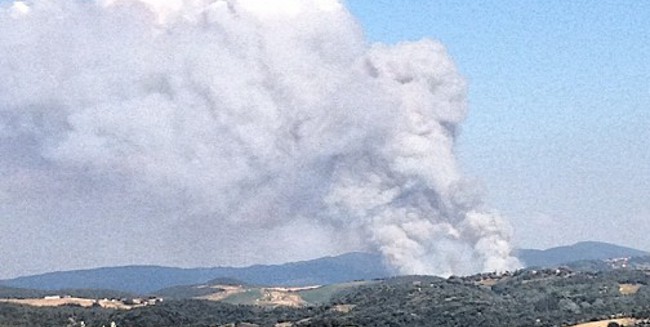 Incendio colle