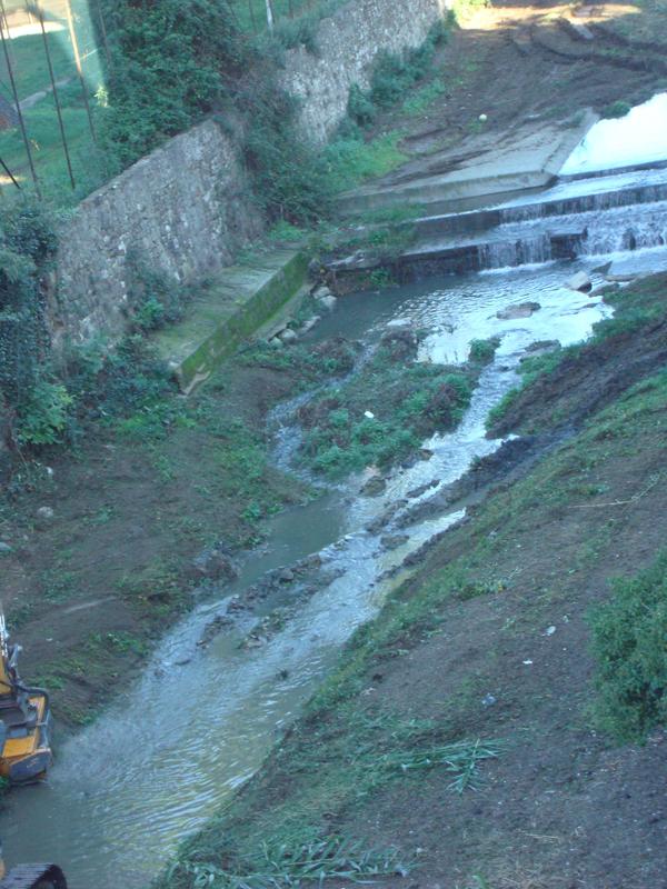 Lo stato del torrente Terzolle