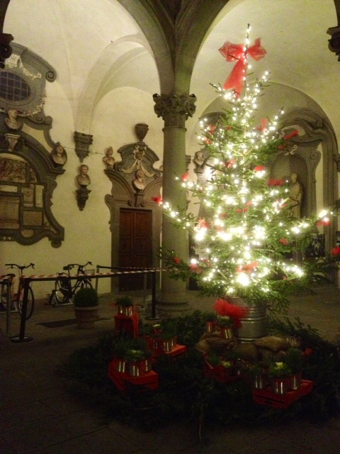 albero