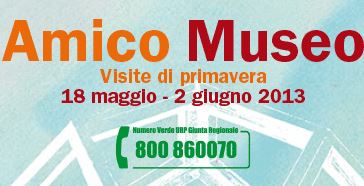 Banner di Amico Museo 2013