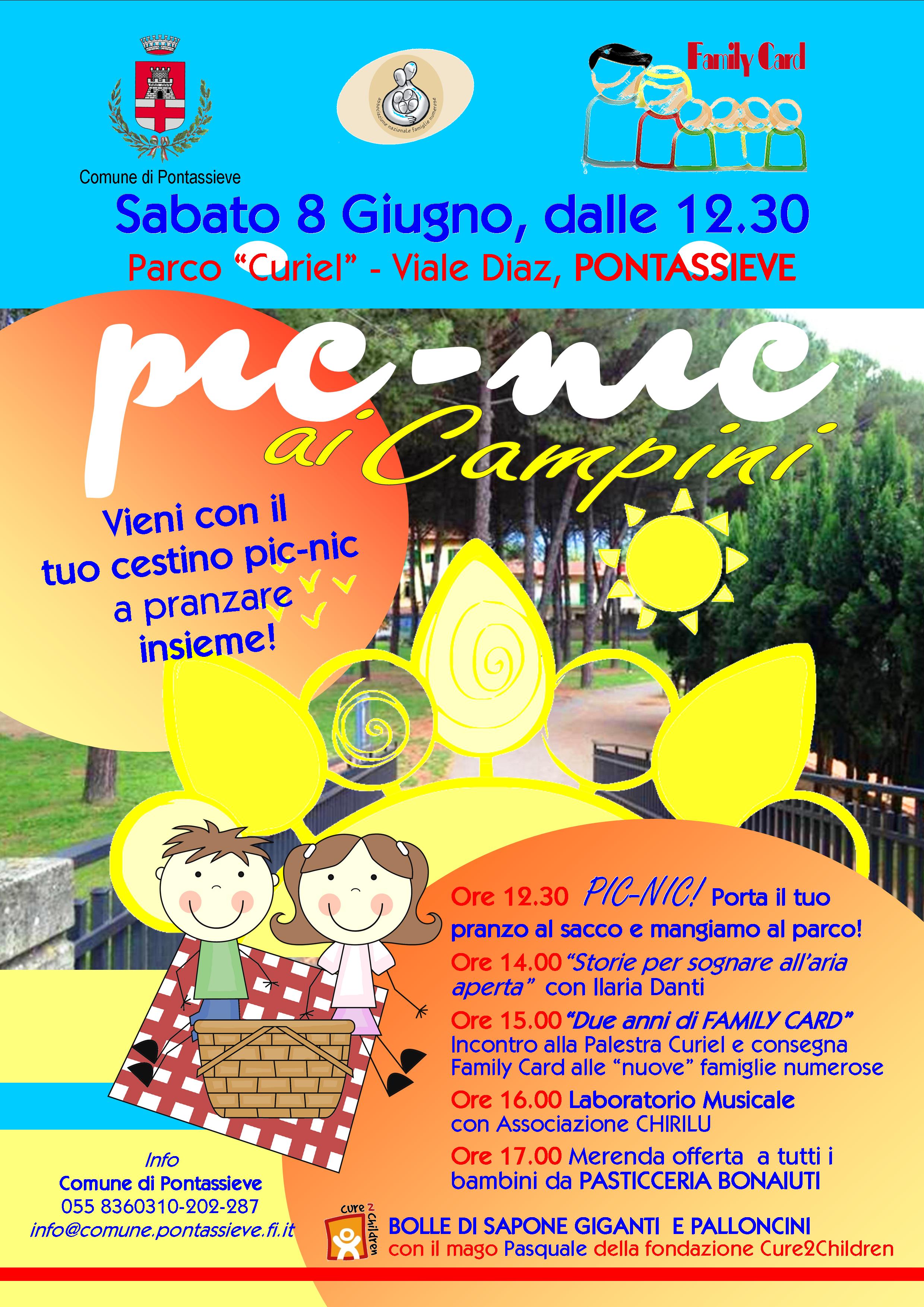 PIC-NIC