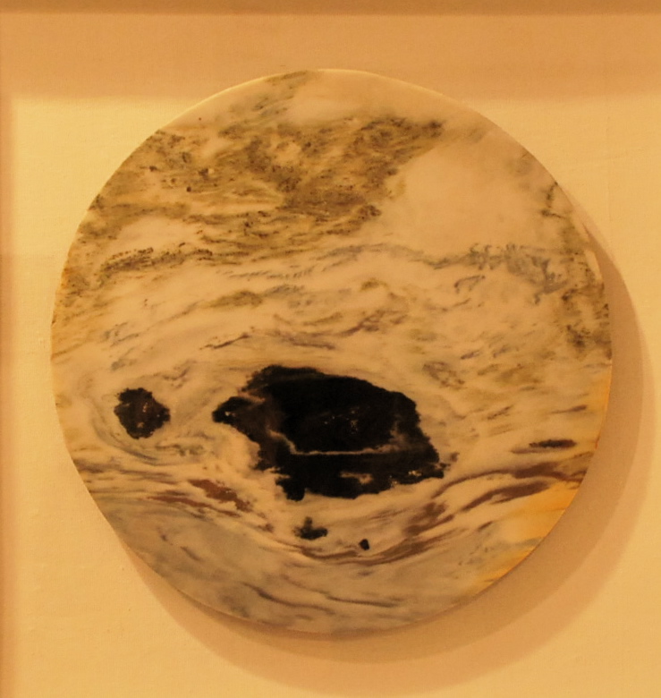 Tartaruga sacra del mare orientale
