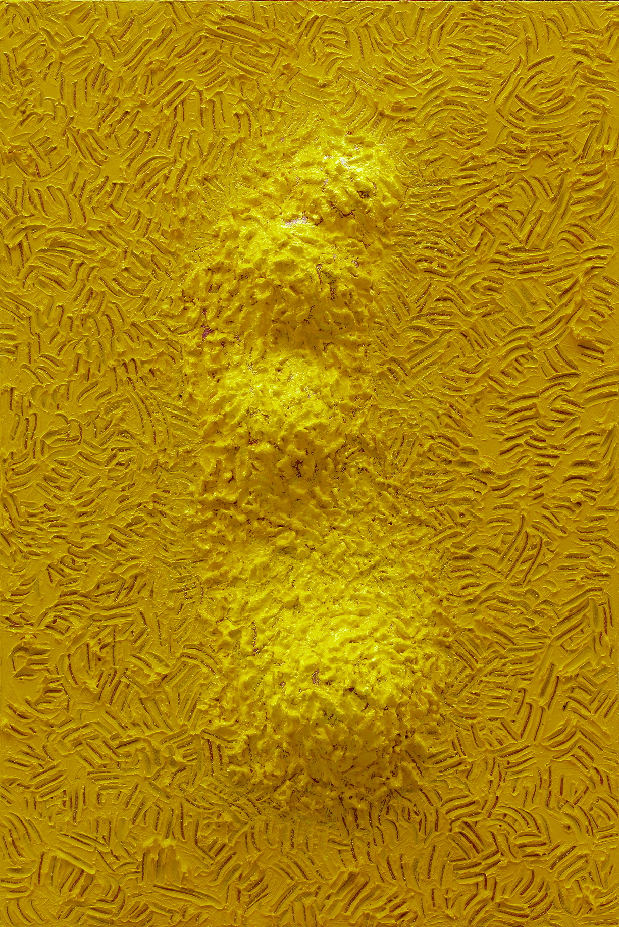 opera di Wang Xiaosong