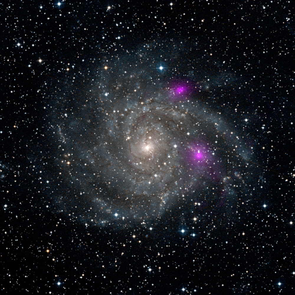 Buchi neri vicini alla costellazione della Giraffa (immagine dal sito della Nasa)