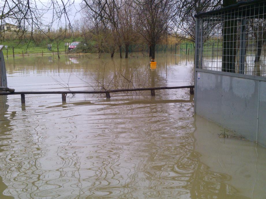 Foto Oasi alluvionata 