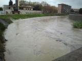 Piena di un fiume