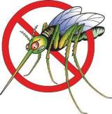 Empoli. Nuovi interventi antilarvali contro le zanzare e di derattizzazione