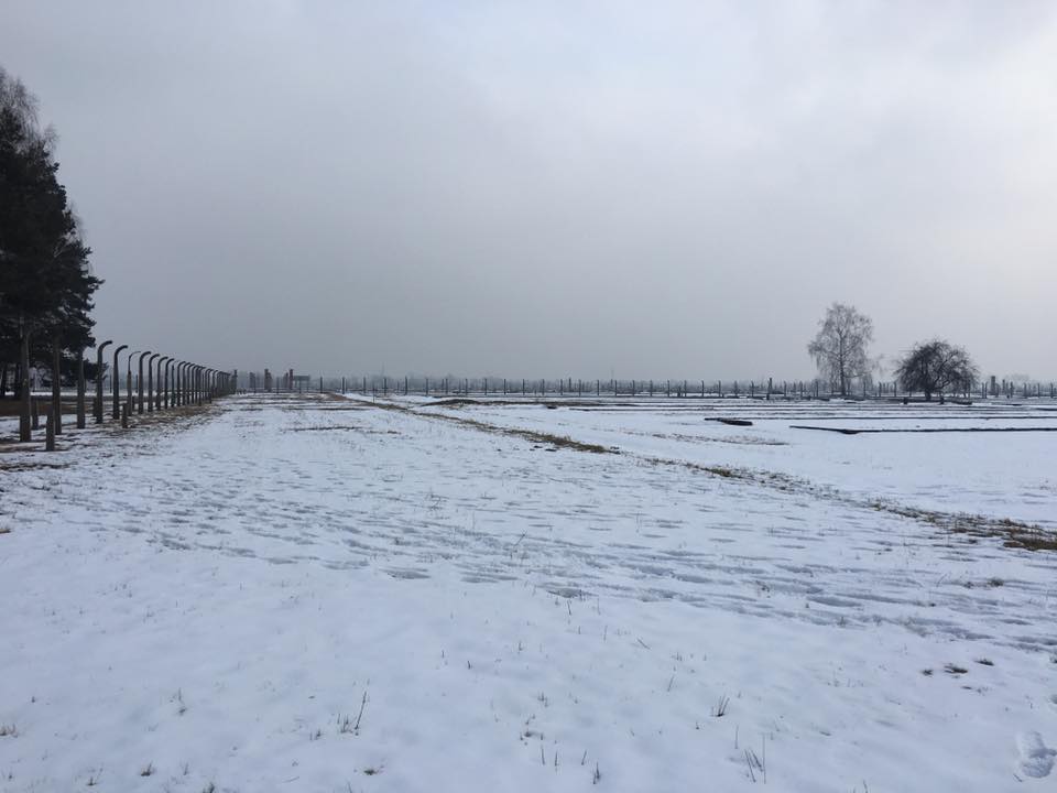 Ad Auschwitz per il Viaggio della Memoria