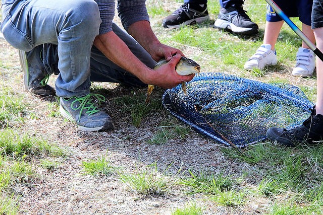 Pesca sportiva: nuova legge toscana, via libera in commissione (foto Antonello Serino - Met)