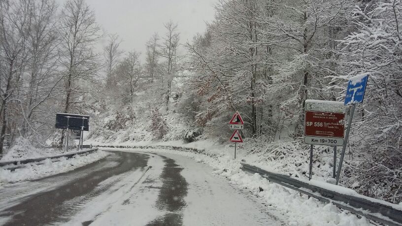 Neve nel territorio metropolitano