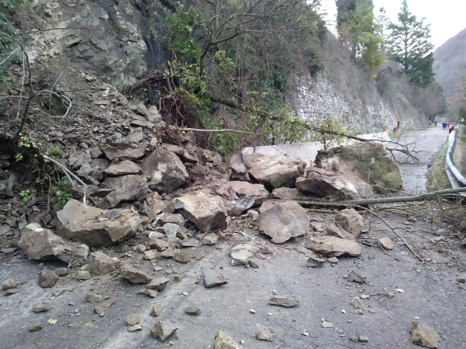 I blocchi di roccia caduti sulla strada