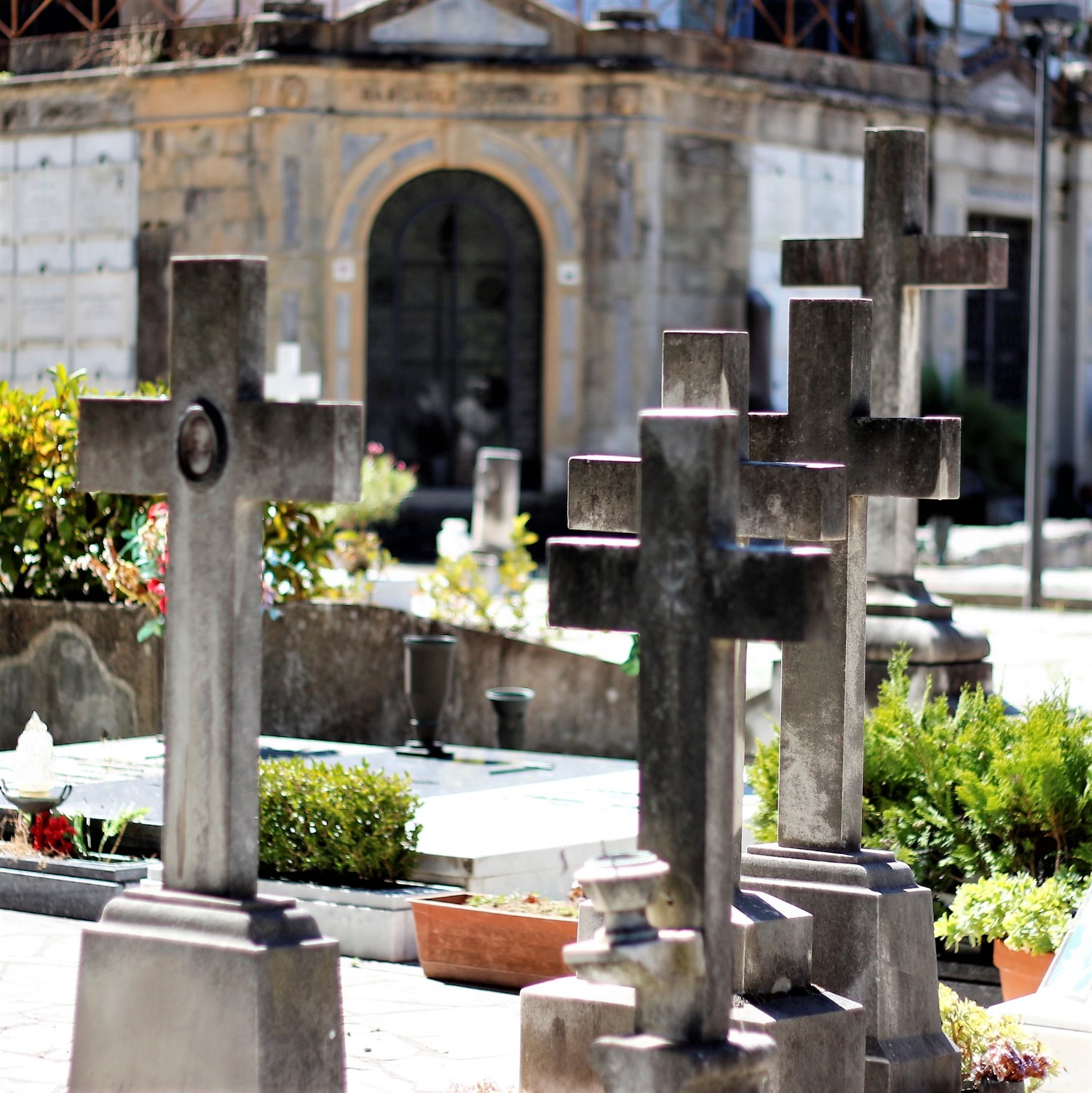 Cimiteri comunali (foto Antonello Serino - Redazione di Met)