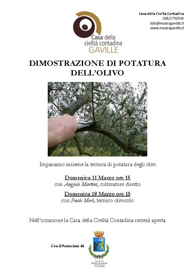 A Gaville per imparare la tecnica della potatura degli olivi - locandina