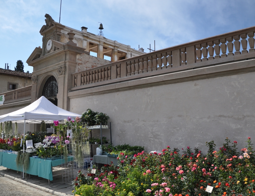 Botanica a Villa Caruso