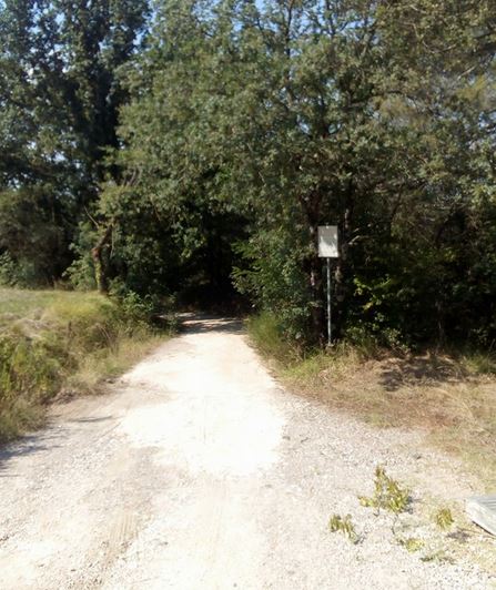 Strada per il parco archeologico di Montereggi