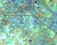 Immagine satellitare sul sito Lamma