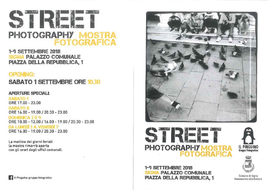 Programma Street Photography