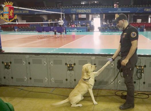 Il cane Rocky della Polizia di Stato