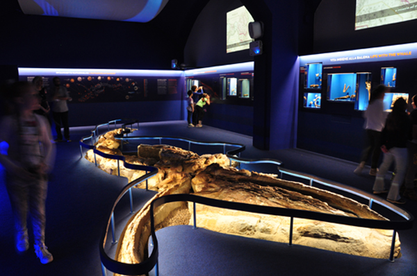 Nuova sala della Balena a Paleologia