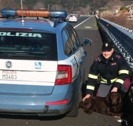 La polizia con il labrador salvato (foto da comunicato)