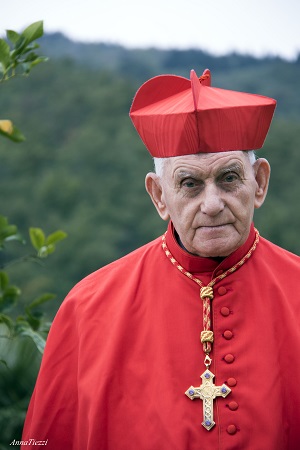 Il Cardinale Ernest Simoni
