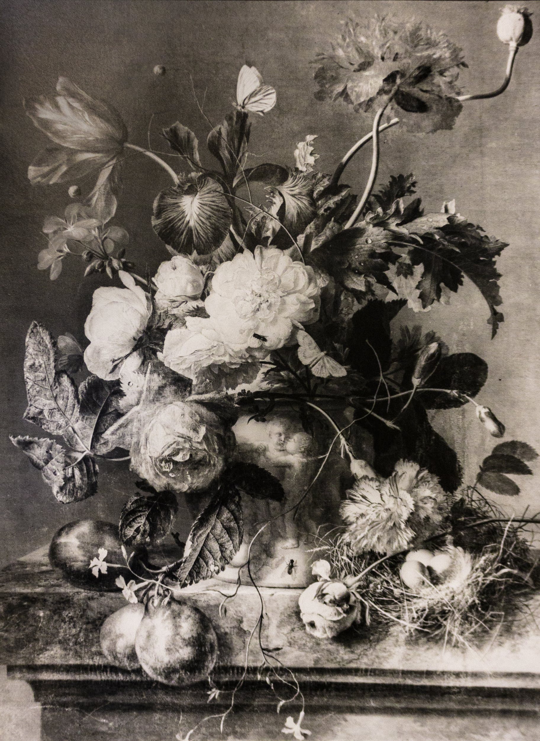 Vaso di Fiori capolavoro di Jan Van Hysum