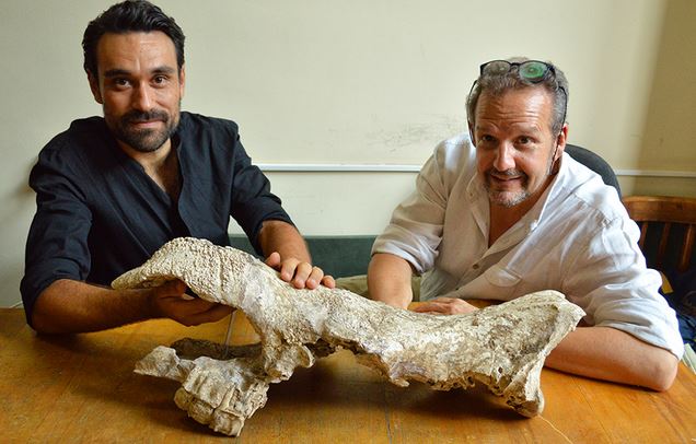 Luca Pandolfi e Lorenzo Rook con cranio rinoceronte