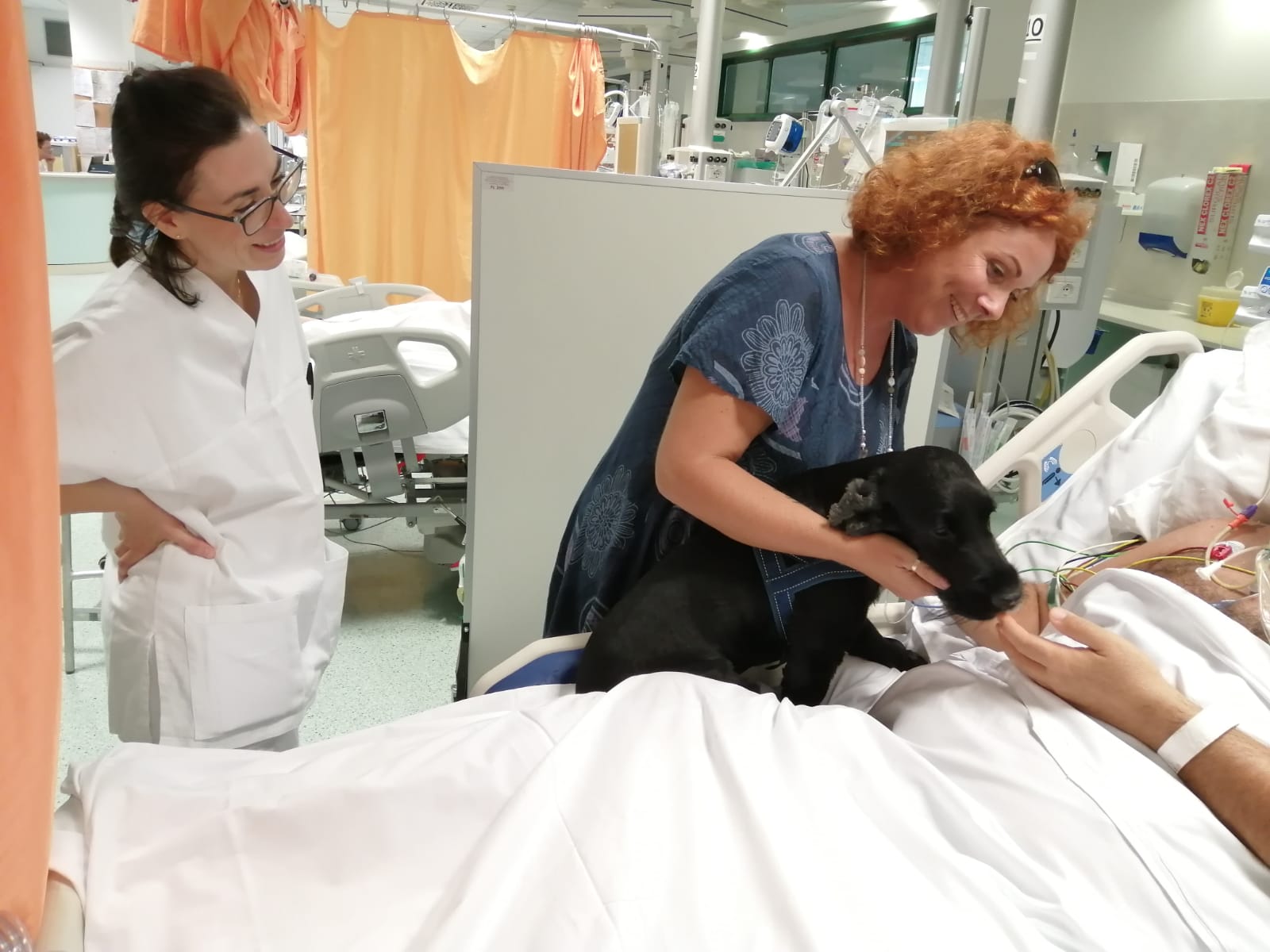 Cane nello in terapia intensiva con paziente