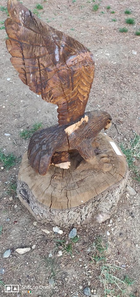 Danneggiata l'ala dell'aquila, una delle sculture in legno del giardino fiabesco di via Riva 