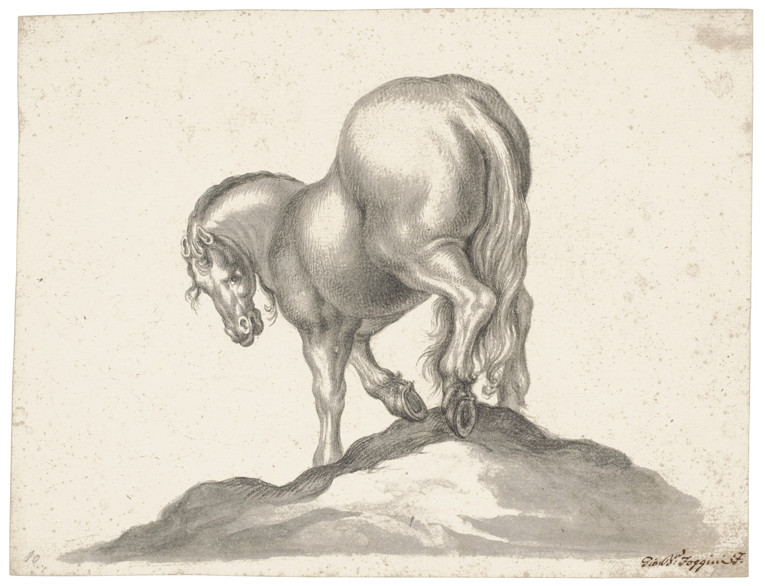 Cavallo visto da dietro, Giovanni Battista Foggini (foto da comunicato)