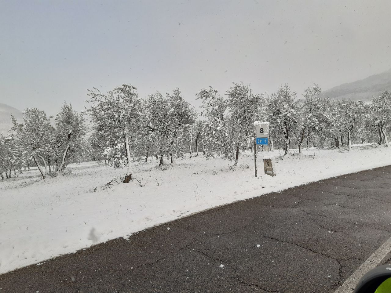 Neve sulla Sp 1 (San Donato in Fronzano)
