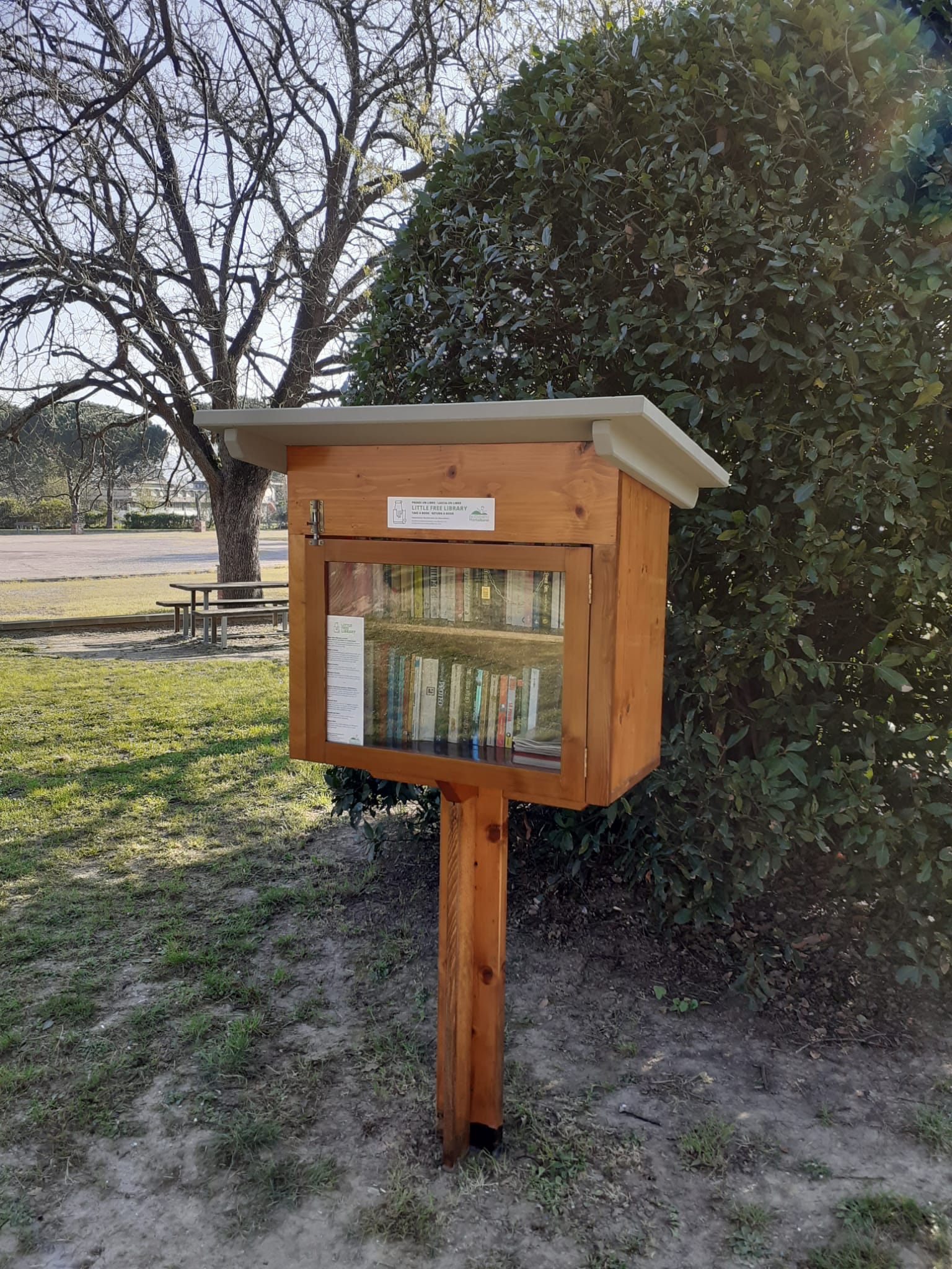 Little Free Library (Foto da comunicato)