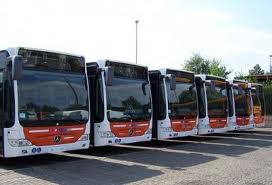 Bus (Foto da comunicato)